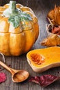 Autumn(fall) still life with pumpkin and pumpkin pot Royalty Free Stock Photo