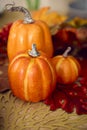 Autumn Or Fall Table Decoration At Home With Pumpkins And Leaves Royalty Free Stock Photo