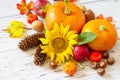 Autumn, fall, Thanksgiving concept. Pumpkins, sunflowers, apples and fallen leaves. Royalty Free Stock Photo