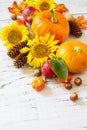 Autumn, fall, Thanksgiving concept. Pumpkins, sunflowers, apples and fallen leaves on rustic wooden table. Royalty Free Stock Photo