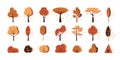 Autumn fall tree bush flat icon forest vector set Royalty Free Stock Photo