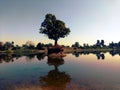 Autumn Fall tree reflection. Oak Tree Beauty. River sky tree landscape nature forest. Royalty Free Stock Photo