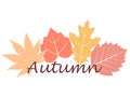 Autumn fall writing Royalty Free Stock Photo