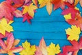 In autumn, the fallen dry leaves of yellow, red, orange color line the perimeter of the frame on an old wooden plank of pale blue Royalty Free Stock Photo