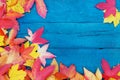 In autumn, the fallen dry leaves of yellow, red, orange color line the perimeter of the frame on an old wooden plank of pale blue Royalty Free Stock Photo