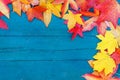 In autumn, the fallen dry leaves of yellow, red, orange color line the perimeter of the frame on an old wooden plank of pale blue Royalty Free Stock Photo