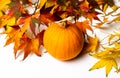 Autumn fallen leafs and small pumpkin Royalty Free Stock Photo