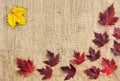 Autumn fallen leaves are arranged in a corner of the background. Yellow and red autumn leaves can be seen from above. Royalty Free Stock Photo