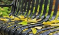 Autumn fallen leaves with drops of rain on a park bench Royalty Free Stock Photo