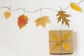 Autumn fallen leaves hang on a rope with clothespins on a light beige background and a gift craft box with a bow of twine. The con Royalty Free Stock Photo