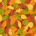 Autumn fallen leaves. Seamless vector background. Colored natural designs for autumn backgrounds and covers Royalty Free Stock Photo