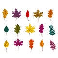 Autumn fallen leaves set. Maple, oak, and birch leaves isolated. Vector illustration in a flat style Royalty Free Stock Photo