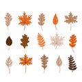 Autumn fallen leaves set. Vector illustration Royalty Free Stock Photo