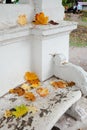 Autumn. Fallen yellow maple leaves on a white bench in the park. Vertical photo. Royalty Free Stock Photo