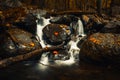 Autumn fallen yellow and red leaves in waterfall on Vitosha Mountain Royalty Free Stock Photo