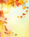 Autumn falling leaves Royalty Free Stock Photo
