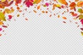 Autumn falling leaves. Autumnal forest foliage fall. Vector illustration isolated on white background Royalty Free Stock Photo