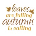 Autumn Falling leaves design for print Royalty Free Stock Photo