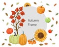 Round frame for the text of the autumn offer. Harvest and leaves around. Vector illustration Royalty Free Stock Photo