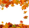 Autumn falling leaves Royalty Free Stock Photo