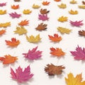 Autumn falling leaves isolated on white background