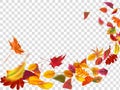 Autumn falling leaves. Leaf fall, wind rises autumnal foliage and yellow leaves isolated vector illustration Royalty Free Stock Photo