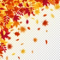Autumn falling leaves. Nature background with red, orange, yellow foliage. Flying leaf. Season sale. Vector illustration Royalty Free Stock Photo