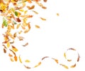 Autumn falling leaves Royalty Free Stock Photo