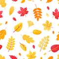 Autumn falling leaves seamless texture. Yellow red 3d leaf, maple and oak foliage pattern. Seasonal fall forest elements Royalty Free Stock Photo