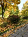 Autumn falls in garden Royalty Free Stock Photo