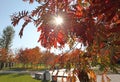 Autumn falls in Moscow, VDNH VVC Royalty Free Stock Photo