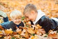 Autumn family weekend. Happy family on a walk in autumn. Two boys playing in autumn leaves Royalty Free Stock Photo