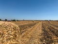 Autumn farm field with close up view of hay roll and rows hay bales