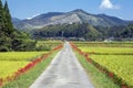 Autumn farm road Royalty Free Stock Photo