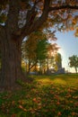 Autumn on the Farm with Tree Silo and Red Leaves Royalty Free Stock Photo