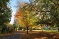 Autumn in Farmleigh