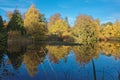 Autumn in Farmleigh