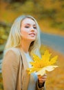 Autumn fashion trend. Young beautiful woman walking in park holding leaf. Leaves falling, fall time in nature. Royalty Free Stock Photo