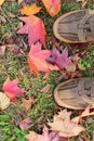 Autumn Fashion Walk around fallen Maple leaves Royalty Free Stock Photo