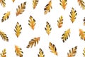 Autumn Feathers On White Background Royalty Free Stock Photo