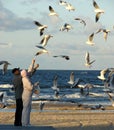 Autumn, tourists feed seagulls on the beach