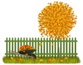 Autumn fence