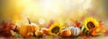 Autumn festive background. Joyful banner with warm seasonal colors