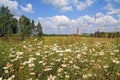 Autumn field Royalty Free Stock Photo