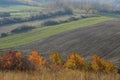 Autumn field