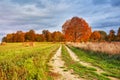 Autumn Field, Maple Tree, Country Road. Fall rural landscape. Dry leaves in the foreground Royalty Free Stock Photo