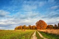 Autumn Field, Maple Tree, Country Road. Fall rural landscape. Lonely beautiful pastures autumn tree Royalty Free Stock Photo