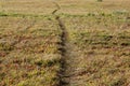 Autumn field