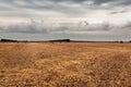 Autumn field with sheaves of hay and dramatic sky. Royalty Free Stock Photo