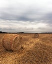 Autumn field with sheaves of hay and dramatic sky. Royalty Free Stock Photo